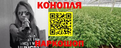 прущие грибы Краснознаменск