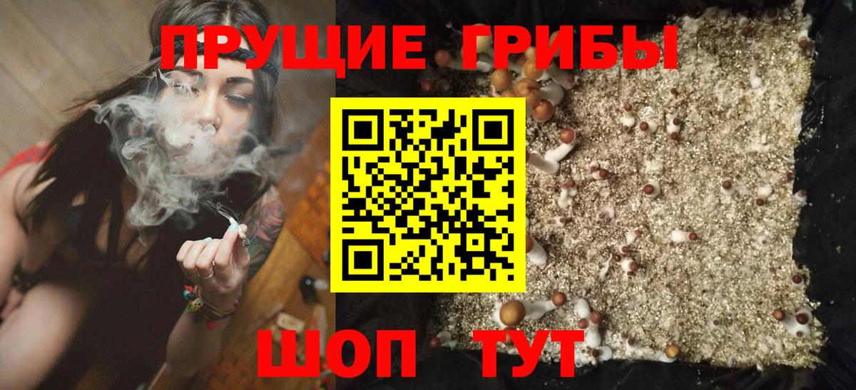 Избербаш  купить  сайты  Вход с VPN  Псилоцибиновые грибы Psilocybine cubensis 
