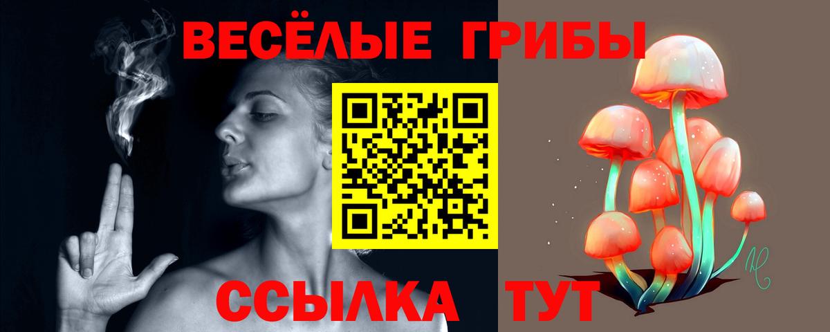 Галлюциногенные грибы мицелий Избербаш